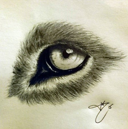Кошачий глаз карандашом