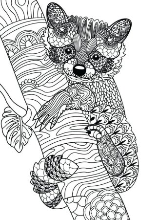 Раскраска антистрее