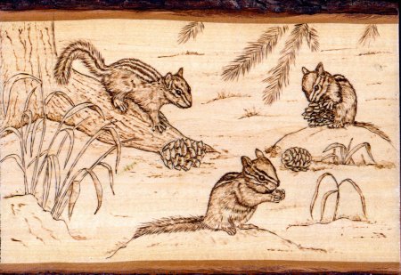 Выжигание по дереву звери