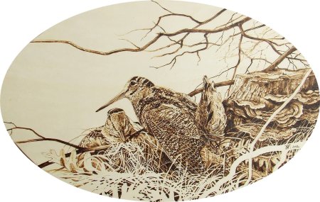 Выжигание охота