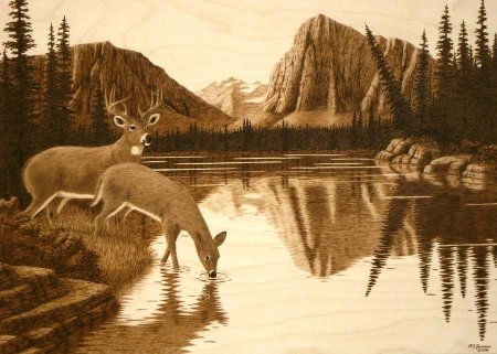 Выжигание по дереву природа