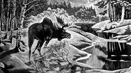 Таежная линогравюра