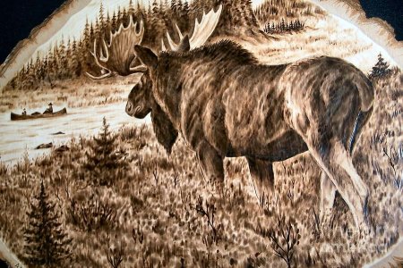 Животные для выжигания