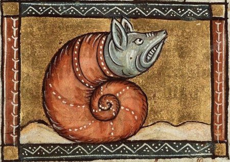 Средневековый Бестиарий Сова