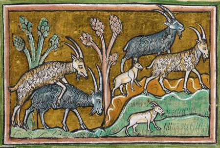 Средневековый Рочестерский Бестиарий