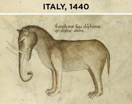 Бестиарий слон