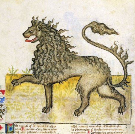 Средневековый Бестиарий Гравюры