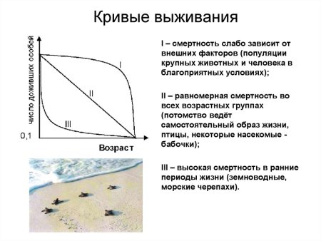 Кривые выживания популяций