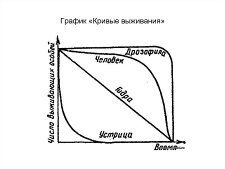 Динамика популяций кривые выживания