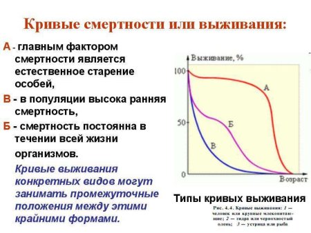Кривая выживания вида