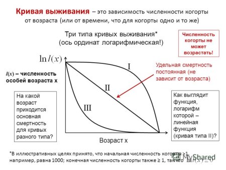 Различные типы кривых выживания