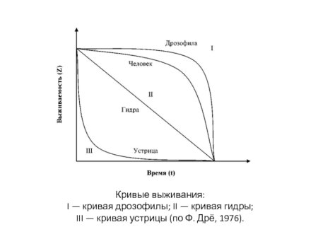 Кривые выживаемости популяций