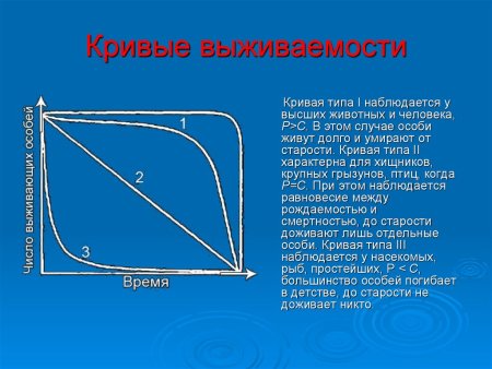 Кривая выживания 1 типа