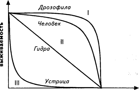Кривые выживания
