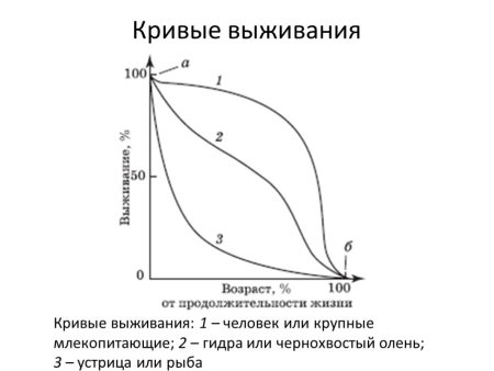 Различные типы кривых выживания
