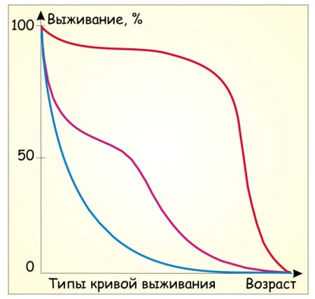 Кривые выживания популяций