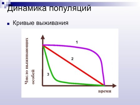 Различные типы кривых выживания