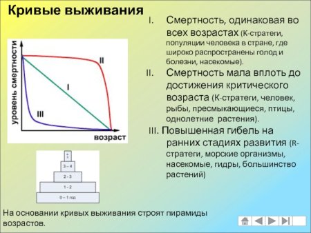 Кривая выживания 1 типа