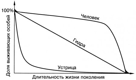 Различные типы кривых выживания