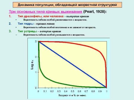 Основные типы кривых выживания и смертности.