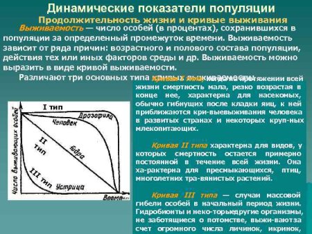 Динамика популяций кривые выживания