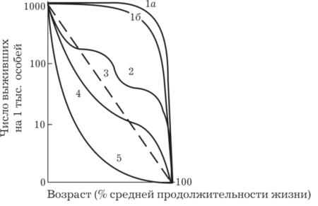 Кривая выживания