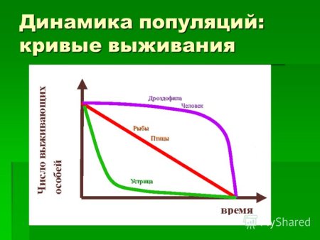 Кривые выживания популяций примеры