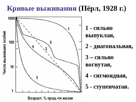 Кривая выживания слона