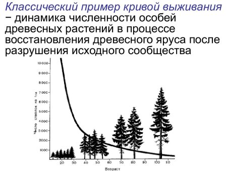 Выживаемость популяции это