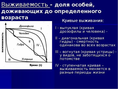 Типы кривых выживания экология