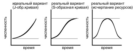 Стратегии выживания популяций