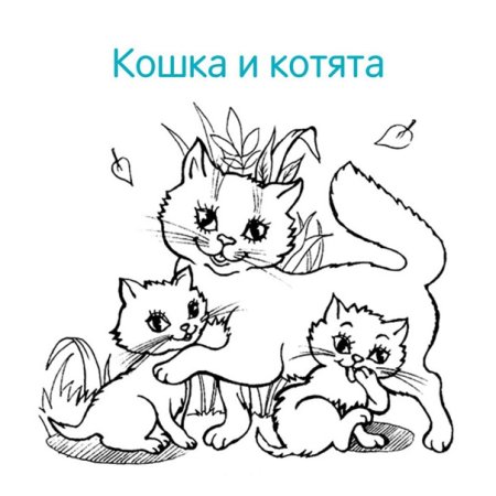 Животные и их Детёныши для детей раскраска