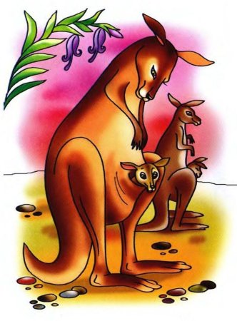 Кенгуру для детей животное