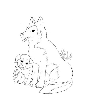 Щенок. Раскраска