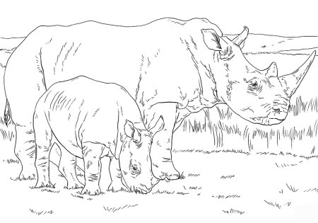 Носорог раскраска