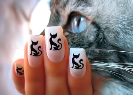 Необычный маникюр с кошками