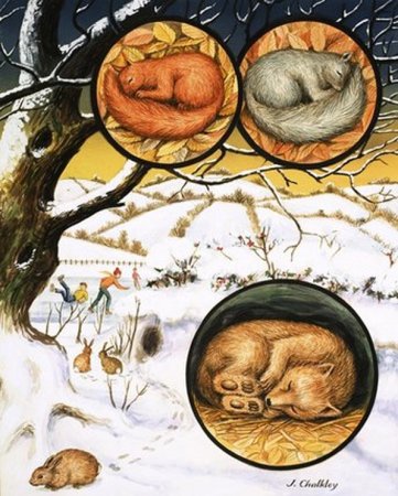 Спячка животных зимой