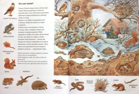 Животные в спячке зимой для детей