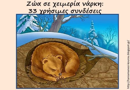 Медведь в спячке в берлогу зимой