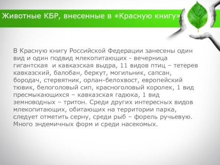 Красная книга КБР