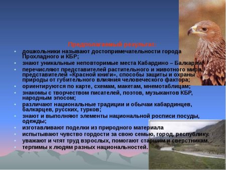 Животный мир Кабардино Балкарии