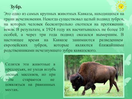 Животные из красной книги КБР