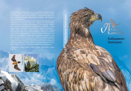Снежный Барс красная книга