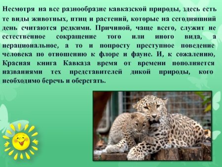 Животные красной книги Дагестана