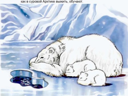 Как я представляю себе Арктику