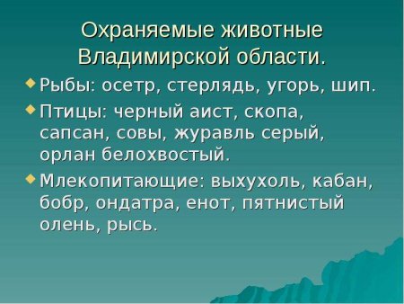 Животные красной книги Владимирской области