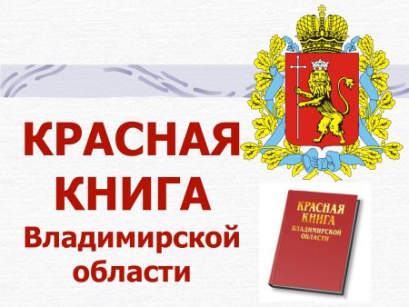 Красная книга Владимирской области белый Аист