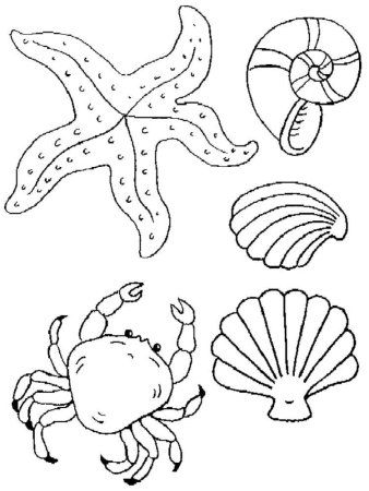 Рисование морские обитатели