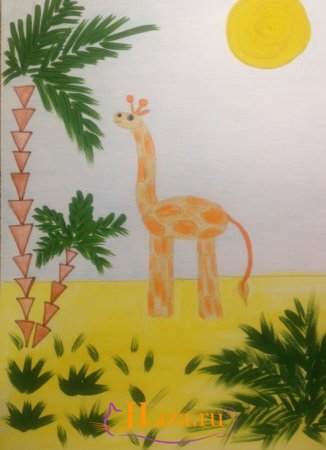 Рисование жирафа в старшей группе