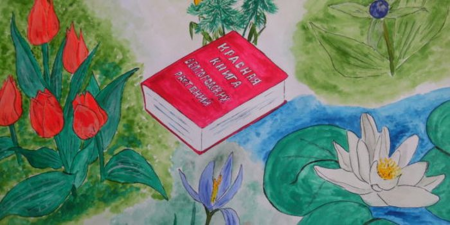 Красная книга рисунок